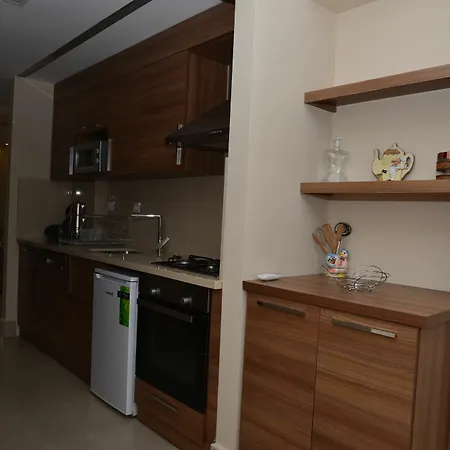 Lighthouse Natalia Aparts 费特希耶